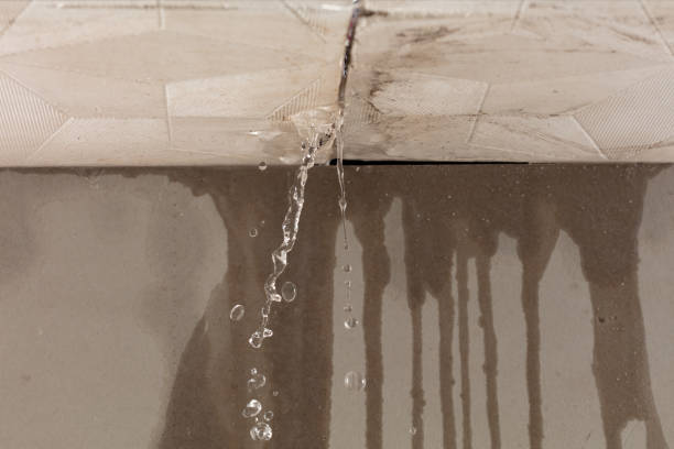 Professional Sewage Cleanup technician working in Hunter, TN